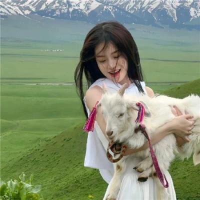 狐狸猎手队